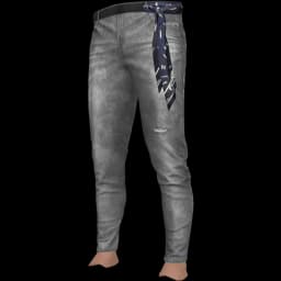 clothes/male/legs/2109/66.webp