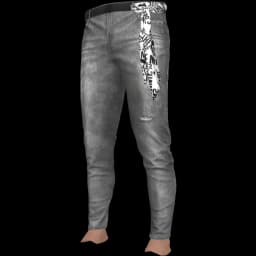 clothes/male/legs/2109/68.webp