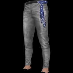 clothes/male/legs/2109/74.webp