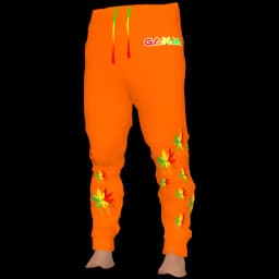 clothes/male/legs/2122/6.webp