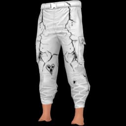 clothes/male/legs/2133/0.webp