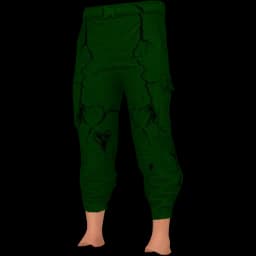 clothes/male/legs/2133/1.webp