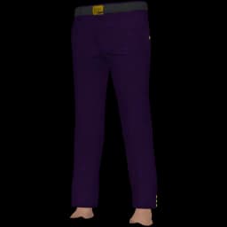 clothes/male/legs/2142/6.webp