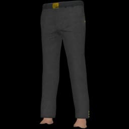 clothes/male/legs/2142/7.webp