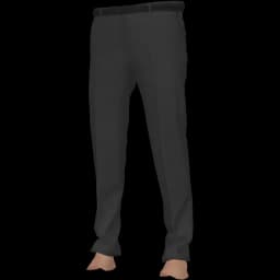 clothes/male/legs/2146/0.webp