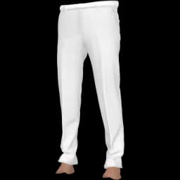 clothes/male/legs/2146/1.webp