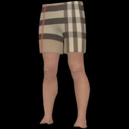 clothes/male/legs/2173/1.webp