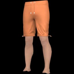 clothes/male/legs/2177/3.webp