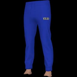 clothes/male/legs/2179/3.webp