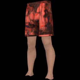 clothes/male/legs/2183/5.webp