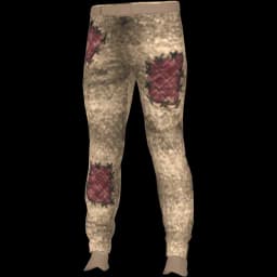 clothes/male/legs/2198/0.webp
