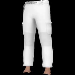 clothes/male/legs/2200/2.webp
