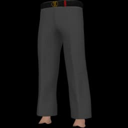 clothes/male/legs/2201/0.webp