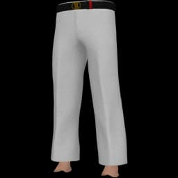 clothes/male/legs/2201/2.webp