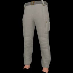 clothes/male/legs/2204/0.webp