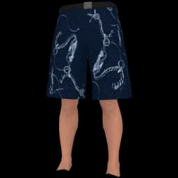 clothes/male/legs/2210/5.webp