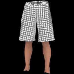 clothes/male/legs/2211/0.webp
