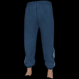 clothes/male/legs/2216/5.webp