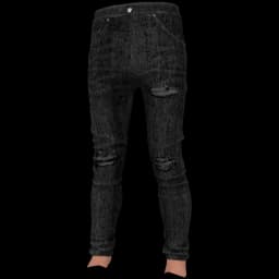clothes/male/legs/2220/2.webp