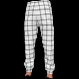 clothes/male/legs/2222/0.webp