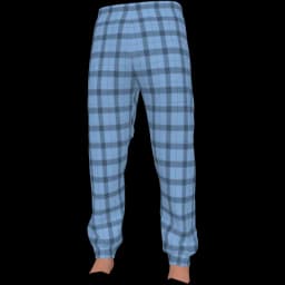 clothes/male/legs/2222/6.webp