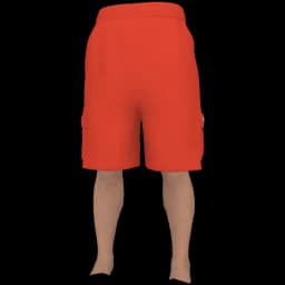 clothes/male/legs/2229/5.webp