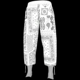 clothes/male/legs/2230/0.webp