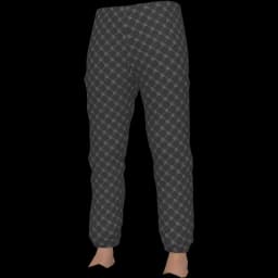 clothes/male/legs/2239/0.webp