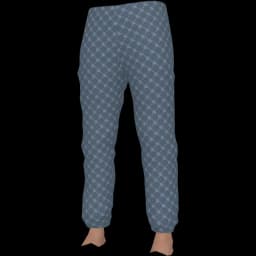 clothes/male/legs/2239/4.webp