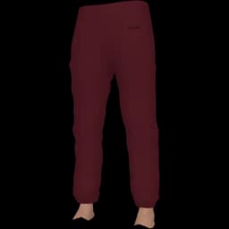 clothes/male/legs/2244/1.webp