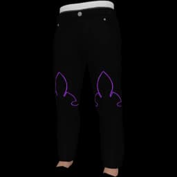 clothes/male/legs/2249/0.webp