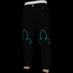 clothes/male/legs/2249/1.webp