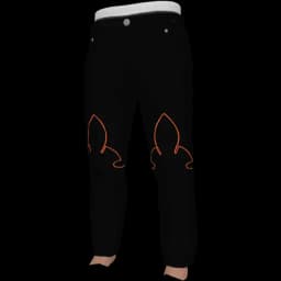 clothes/male/legs/2249/3.webp