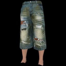 clothes/male/legs/2287/1.webp