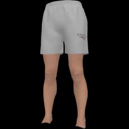 clothes/male/legs/2289/0.webp