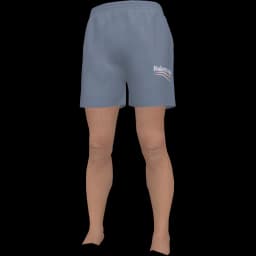clothes/male/legs/2289/1.webp