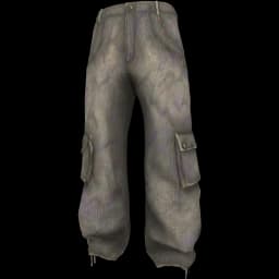 clothes/male/legs/2297/1.webp