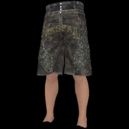 clothes/male/legs/2303/0.webp