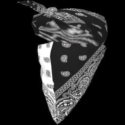 clothes/male/mask/2047/0.webp