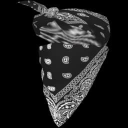 clothes/male/mask/2047/5.webp