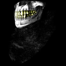 clothes/male/mask/2055/3.webp