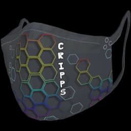 clothes/male/mask/2118/0.webp