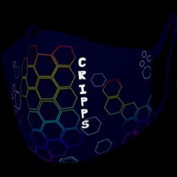 clothes/male/mask/2118/11.webp