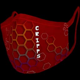 clothes/male/mask/2118/4.webp