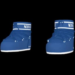 clothes/male/shoes/2086/5.webp