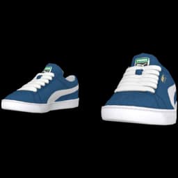 clothes/male/shoes/2113/1.webp