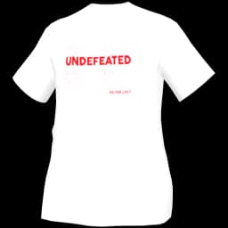 clothes/male/top/2023/3.webp