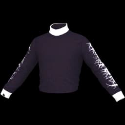 clothes/male/top/2046/5.webp