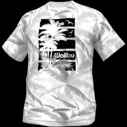 clothes/male/top/2118/19.webp