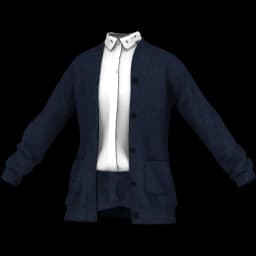 clothes/male/top/2137/15.webp